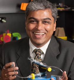 Mr. Sridhar Chaturvedula
